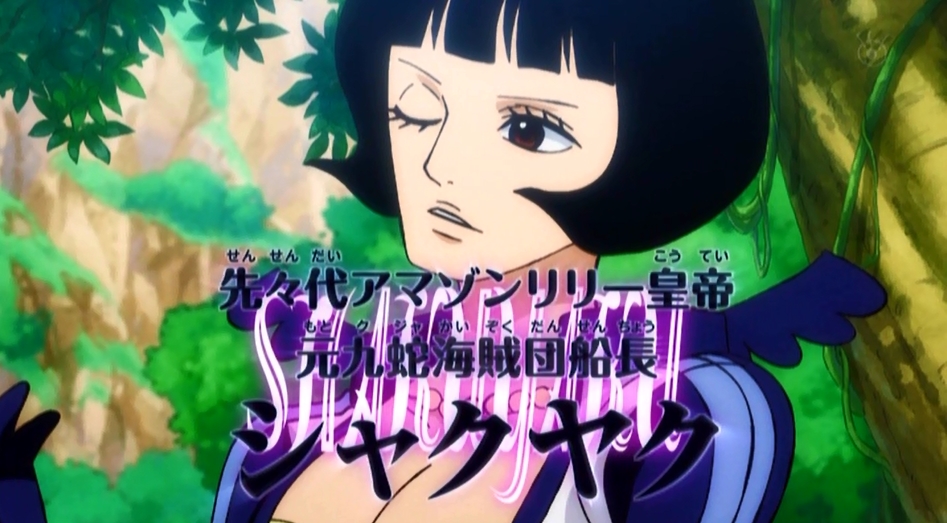 ワンピース　ONE PIECE　シャクヤク　アマゾンリリー　皇帝　浅野真澄