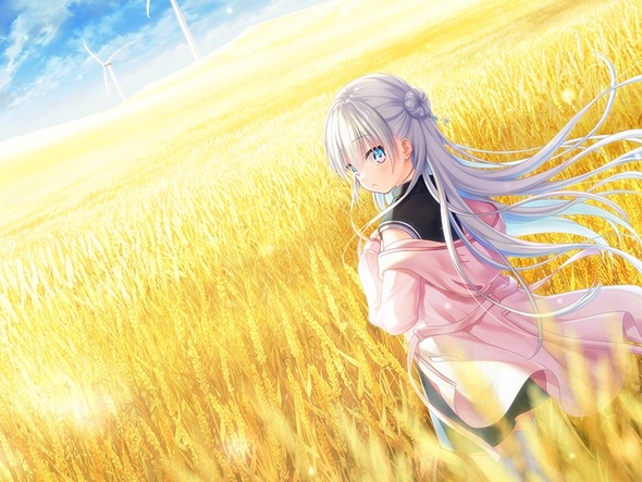 アネモイ　辻倉朱比華　平塚紗依　anemoi
